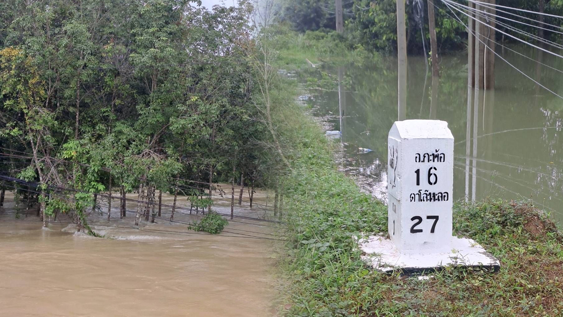 การยางฯ2