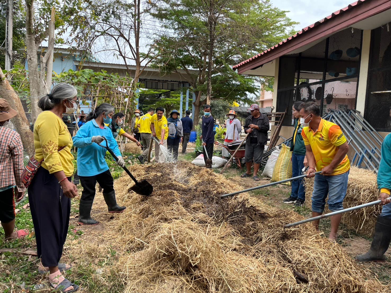 กรมส่งเสริมการเกษตร เดินหน้าสร้างเกษตรปลอดเผายั่งยืน สู้ PM2.5 4 จอมพระ สรพบุรี2