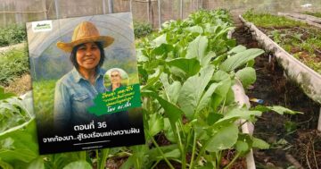 จากท้องนา3