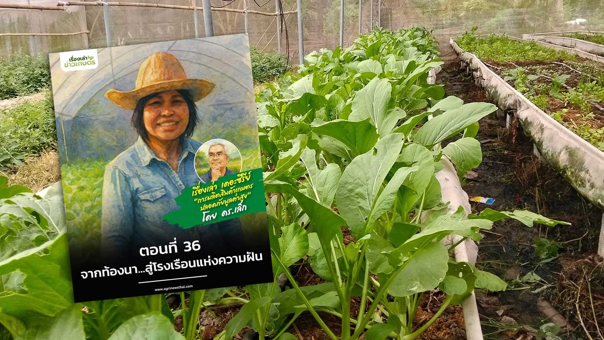 เรื่องเล่าเดอะซีรีส์ ตอนที่ 36 “จากท้องนา…สู่โรงเรือนแห่งความฝัน” 1 จากท้องนา3