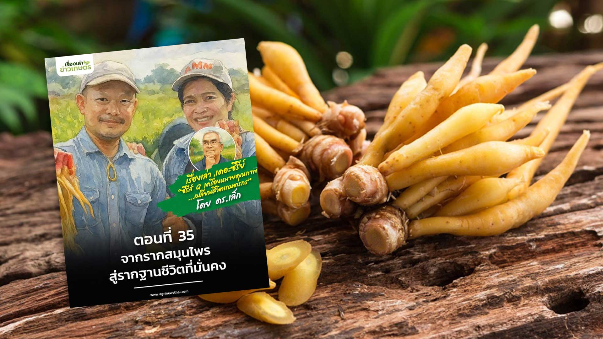 เรื่องเล่าเดอะซีรีส์ ตอนที่ 35 “จากรากสมุนไพร…สู่รากฐานชีวิตที่มั่นคง” 1 จากรากสมุนไพร3