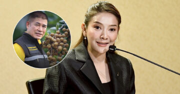 ชาวสวนลำไย2