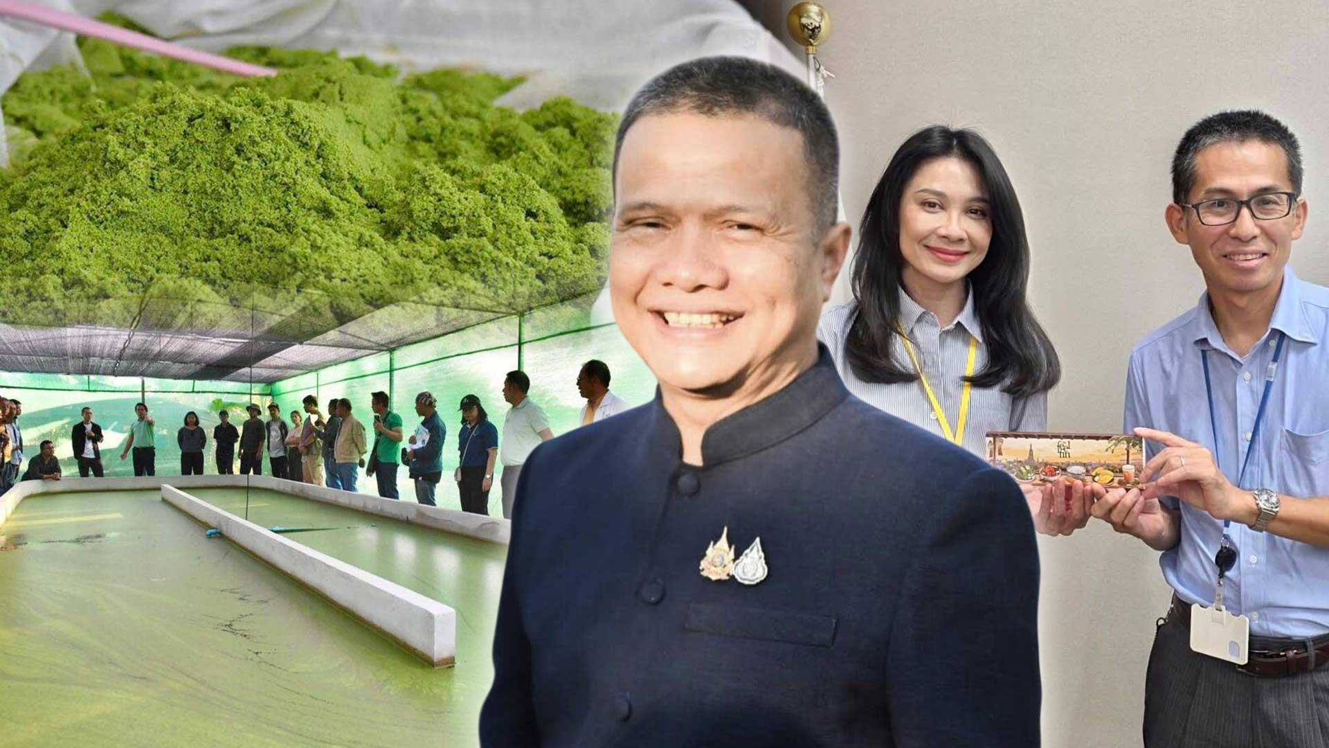 ญี่ปุ่น-ไทยร่วมผลักดันเกษตรกรรมลดก๊าซเรือนกระจก ผ่านระบบฉลากสิ่งแวดล้อม “Mieruka” มุ่งสู่เป้าหมายคาร์บอนสุทธิเป็นศูนย์ พร้อมจับตา “ผำ” ถูกจัดเป็นศัตรูพืชกักกันใหม่ ญี่ปุ่นห้ามนำเข้าสินค้าเกษตรไทยที่ปนเปื้อน 1 ญี่ปุ่น ไทยร่วมผลักดัน3