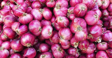 ญี่ปุ่นปรับลด2 1