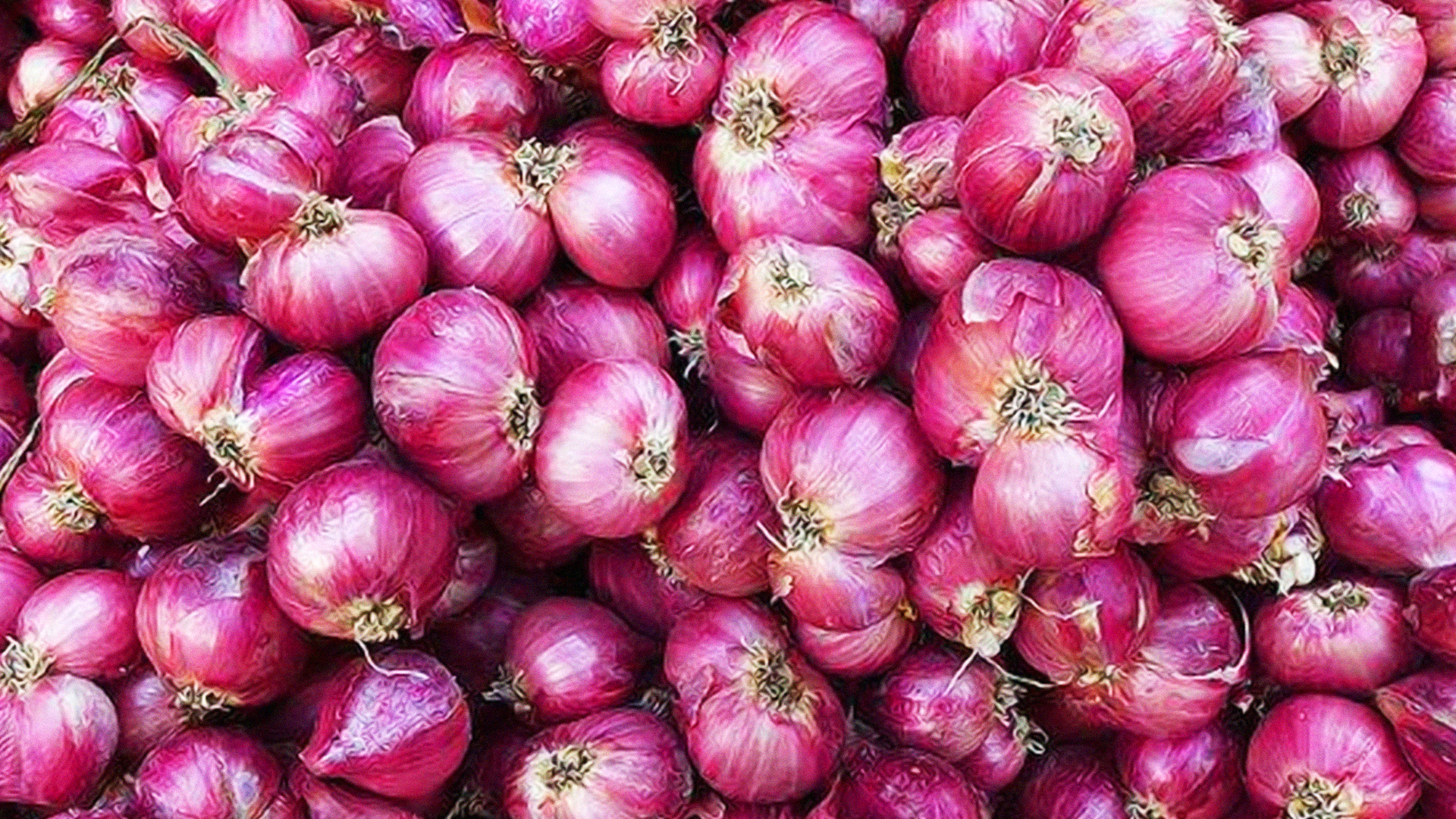 ญี่ปุ่นปรับลดระดับการสุ่มตรวจสาร Haloxyfob ในหอมแดงนำเข้าจากประเทศไทย 1 ญี่ปุ่นปรับลด2 1