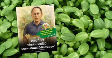 ต้นอ่อนรายได้ดี3