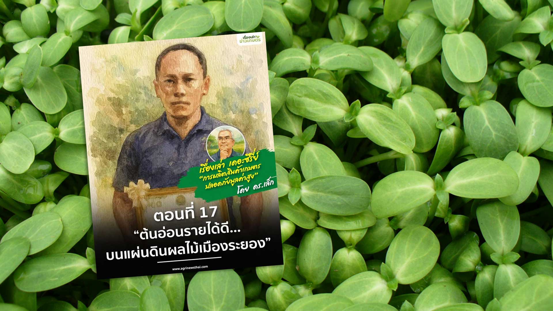 เรื่องเล่า เดอะซีรีส์“การผลิตสินค้าเกษตรปลอดภัยมูลค่าสูง” ตอนที่ 17 : “ต้นอ่อนรายได้ดี…บนแผ่นดินผลไม้เมืองระยอง” 1 ต้นอ่อนรายได้ดี3