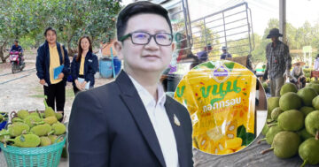 ต้นแบบแปลงใหญ่เข้มแข็ง2