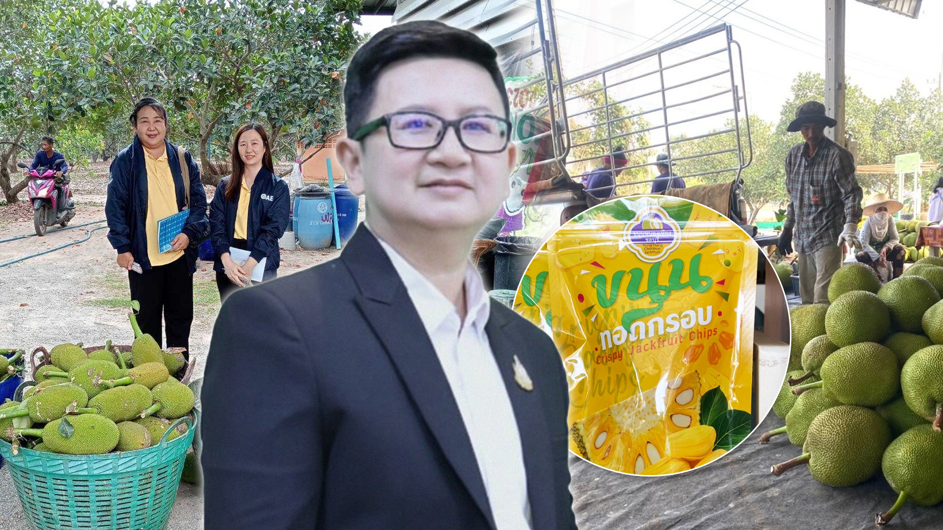 ต้นแบบแปลงใหญ่เข้มแข็ง “กลุ่มขนุนหนองเหียง” จ.ชลบุรี ผลิต-แปรรูป ขนุนคุณภาพ สร้างรายได้เกษตรกร 1 ต้นแบบแปลงใหญ่เข้มแข็ง2