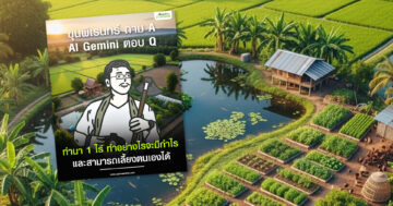 ทำอย่างไรจะมีกำไร3