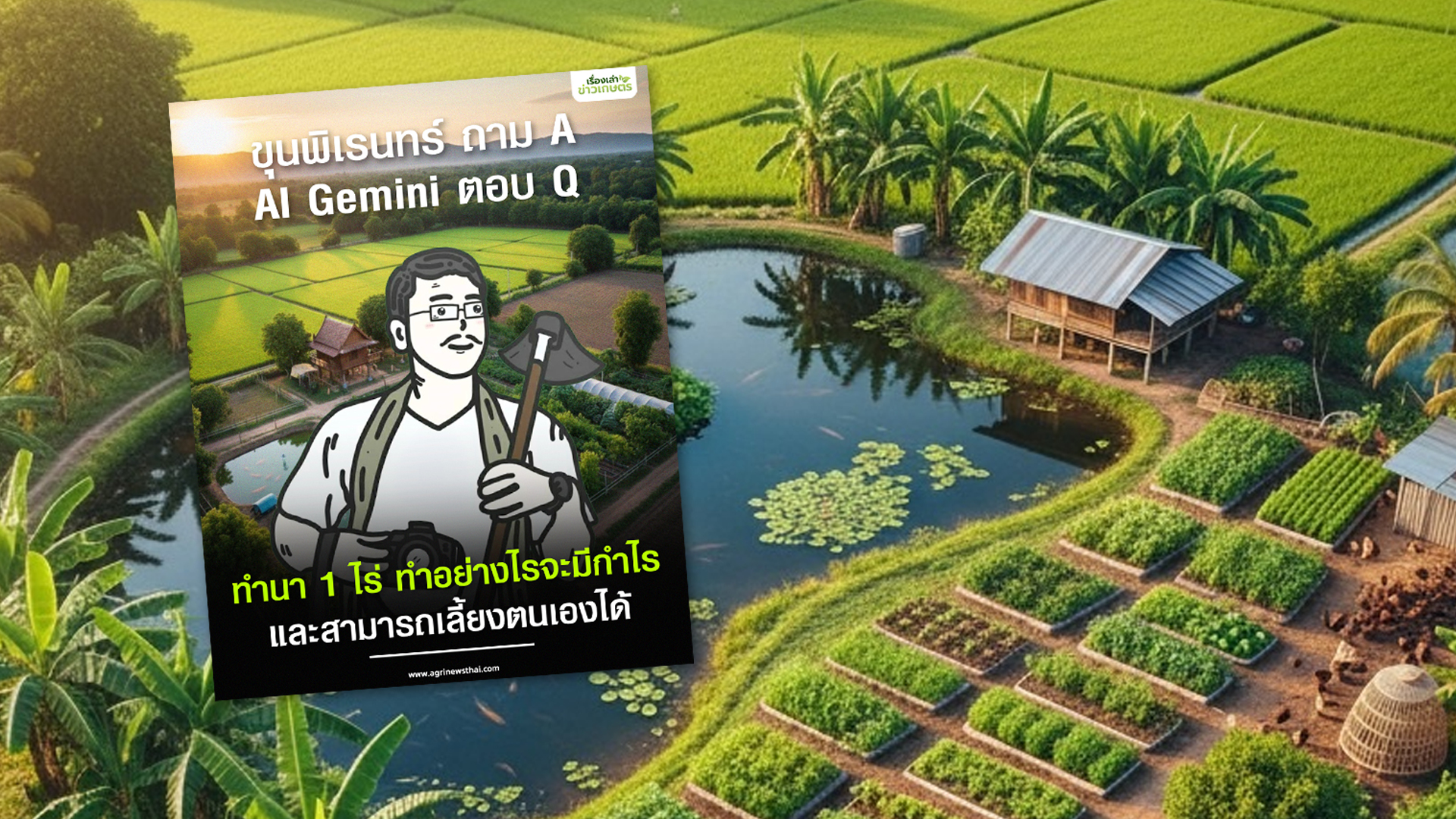 ทำนา 1 ไร่ ทำอย่างไรจะมีกำไรและสามารถเลี้ยงตัวเองได้ 1 ทำอย่างไรจะมีกำไร3