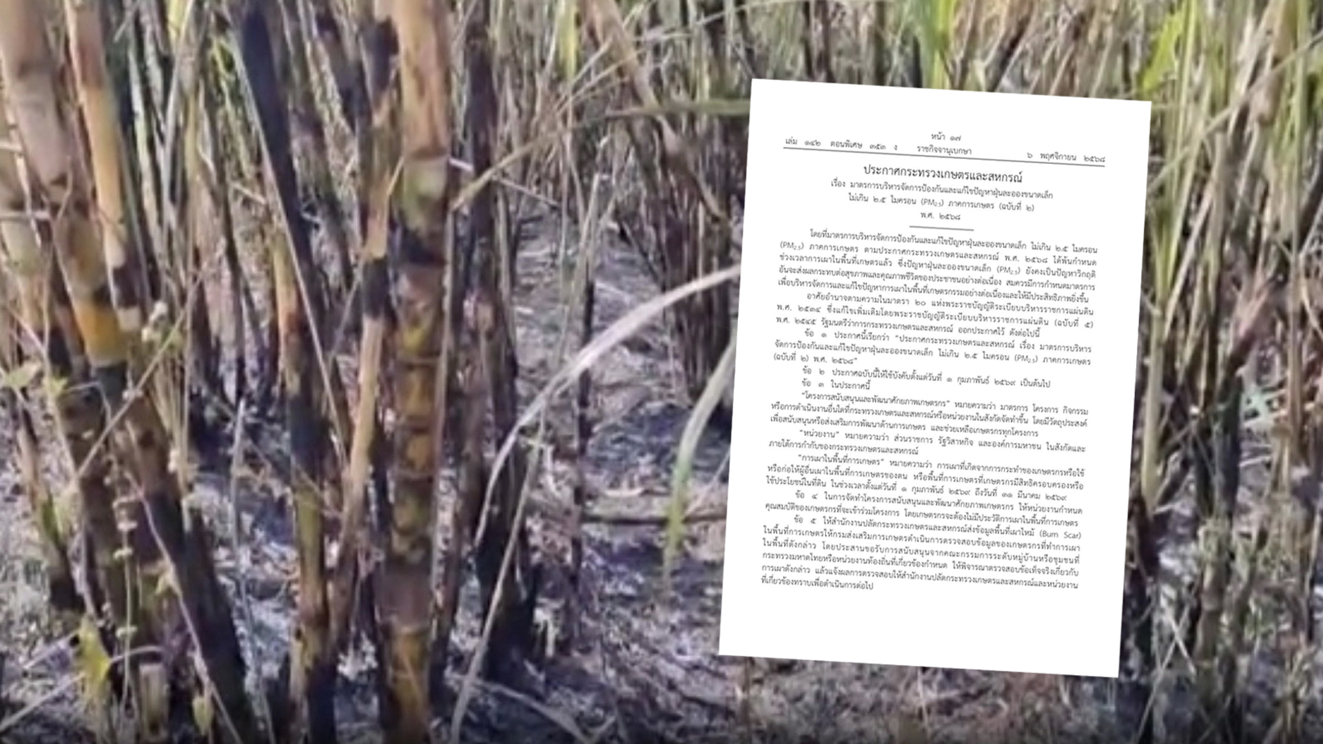 ราชกิจจานุเบกษาห้ามเผาพื้นที่การเกษตร 1ก.พ.-31 มี.ค.69 1 ประกาศฯ2 1