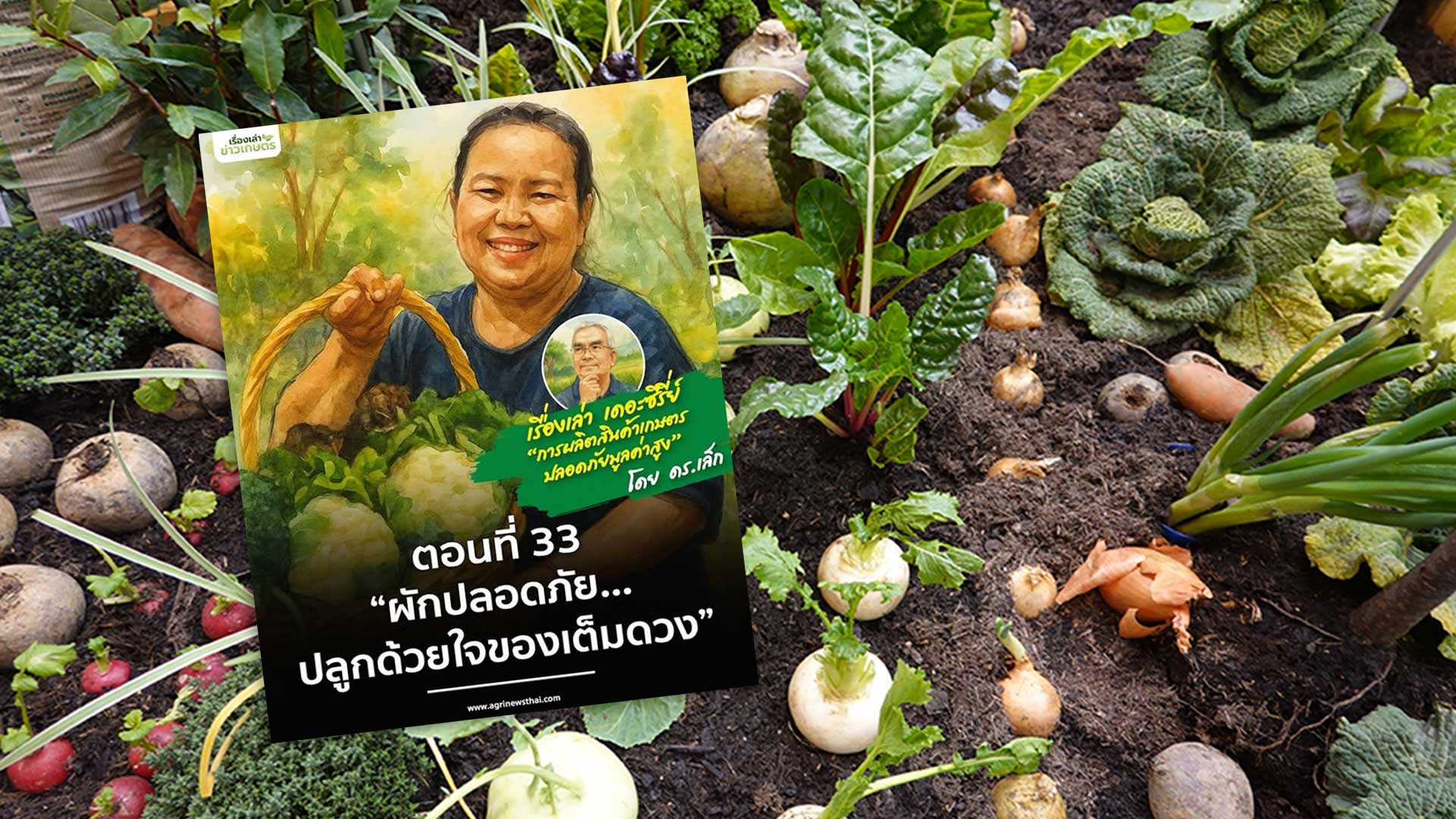 เรื่องเล่าเดอะซีรีส์ ตอนที่ 33 “ผักปลอดภัย…ปลูกด้วยใจของเต็มดวง” 1 ผักปลอดภัย3