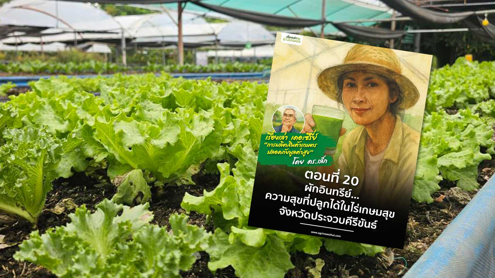 เรื่องเล่า..เดอะซีรีส์ “การผลิตสินค้าเกษตรปลอดภัยมูลค่าสูง” ตอนที่ 20 : “ผักอินทรีย์…ความสุขที่ปลูกได้ในไร่เกษมสุข” จังหวัดประจวบคีรีขันธ์ 1 ผักอินทรีย์3