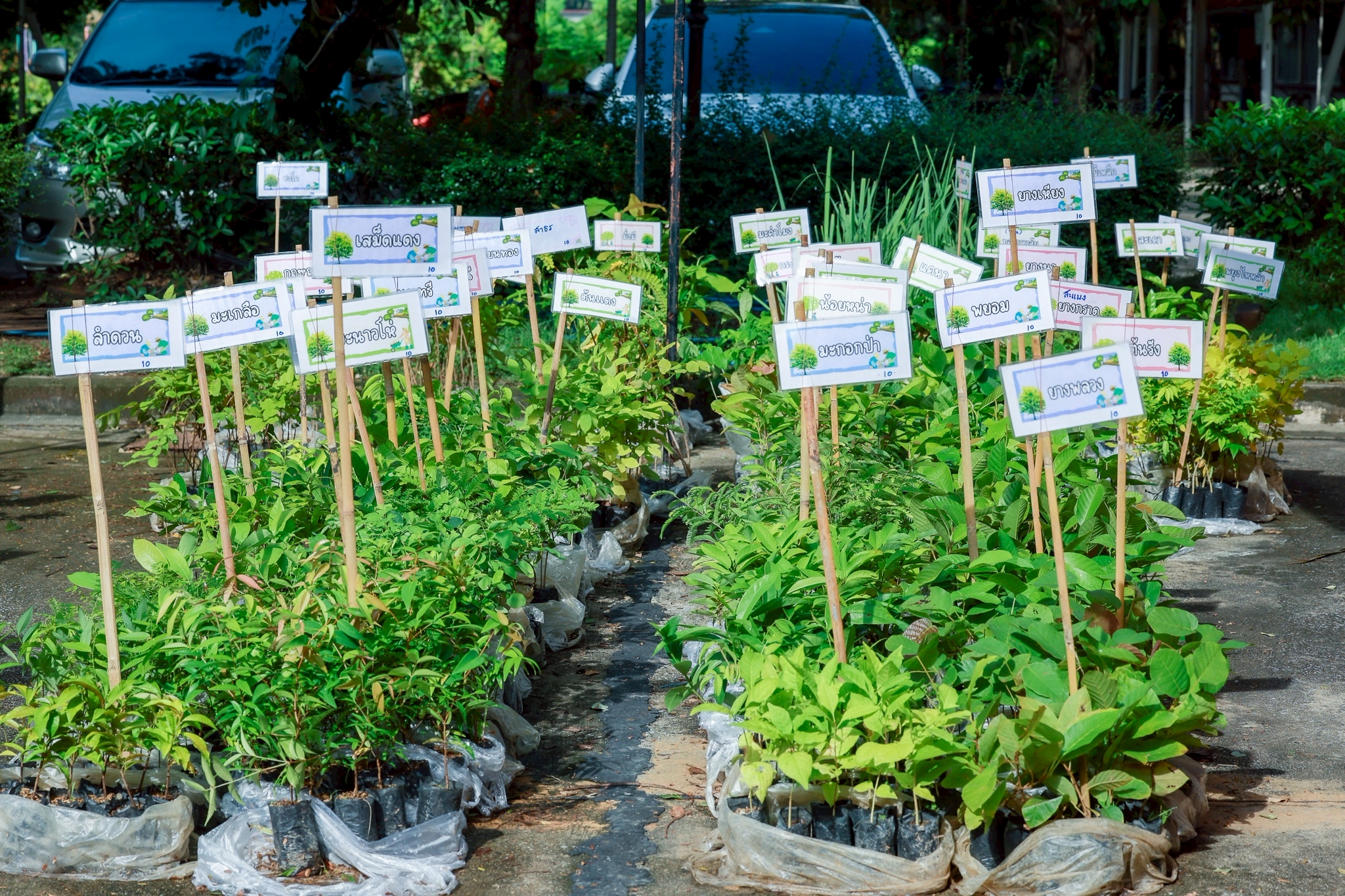พกฉ. จัดงานเทิดพระเกียรติในหลวงรัชกาลที่ 9 พระมหากษัตริย์นักพัฒนา “ภูมิพลังแผ่นดิน” 4 – 7 ธันวาคมนี้ 10 ภาพพกฉ6