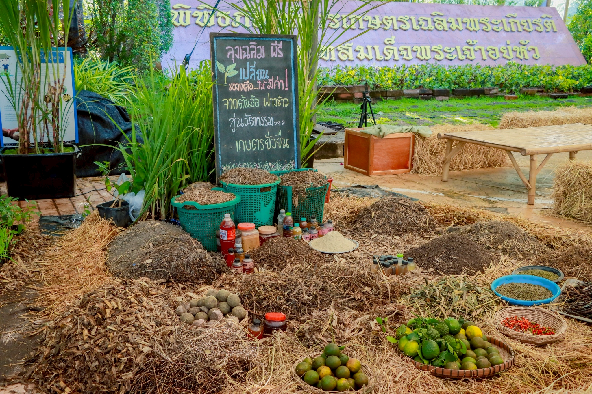 พกฉ. จัดงานเทิดพระเกียรติในหลวงรัชกาลที่ 9 พระมหากษัตริย์นักพัฒนา “ภูมิพลังแผ่นดิน” 4 – 7 ธันวาคมนี้ 6 ภาพพกฉ7