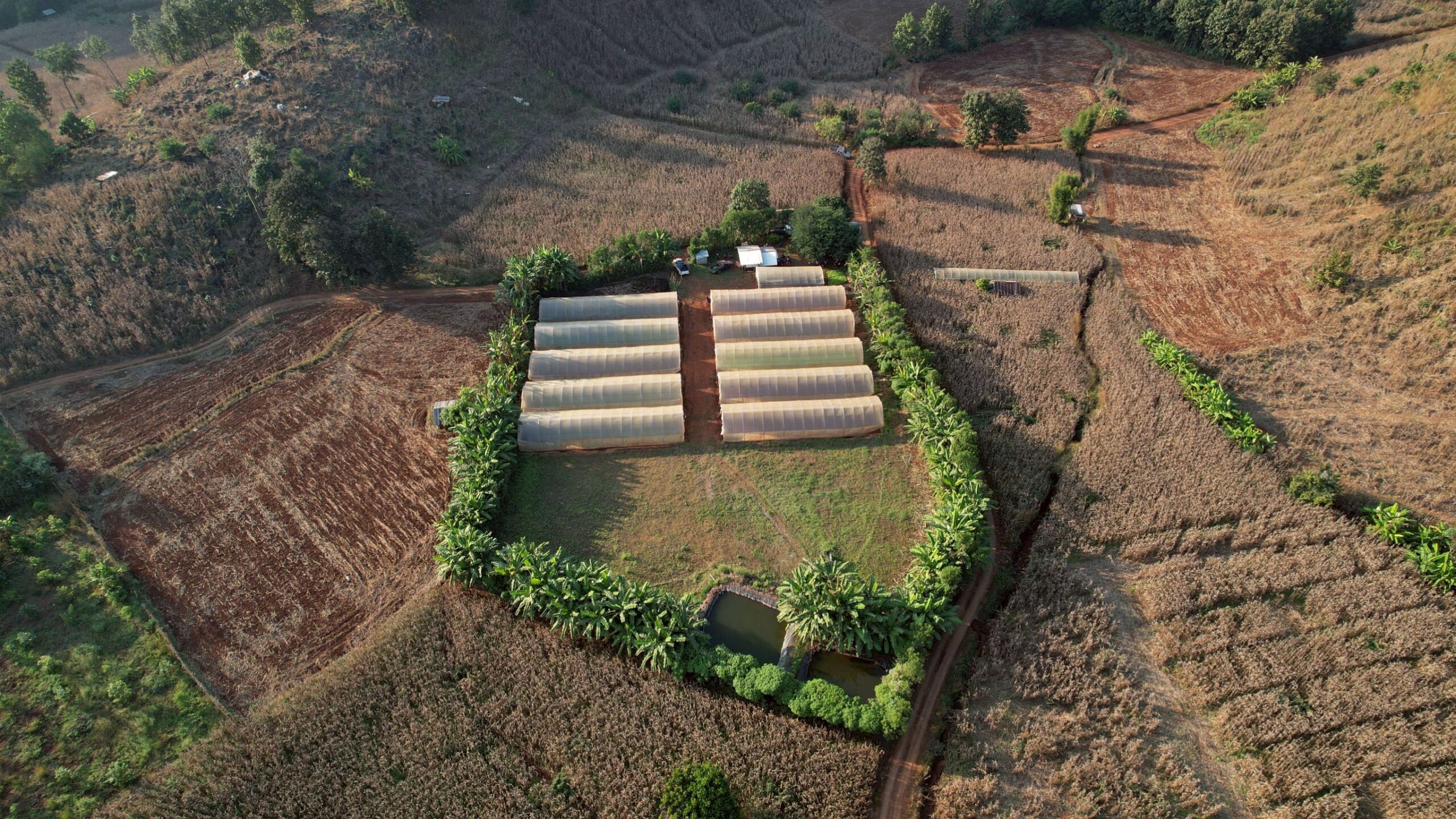 สถาบันวิจัยและพัฒนาพื้นที่สูง (องค์การมหาชน) ร่วมกับ สำนักงานพัฒนาการวิจัยการเกษตร (องค์การมหาชน) เดินหน้าพัฒนานวัตกรรมเกษตรลดปัญหา PM 2.5 11 ภาพสวพส11 scaled