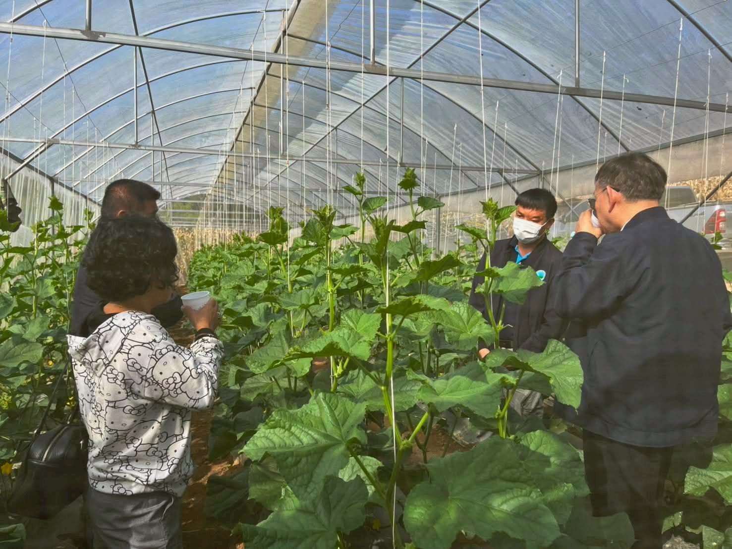 สถาบันวิจัยและพัฒนาพื้นที่สูง (องค์การมหาชน) ร่วมกับ สำนักงานพัฒนาการวิจัยการเกษตร (องค์การมหาชน) เดินหน้าพัฒนานวัตกรรมเกษตรลดปัญหา PM 2.5 3 ภาพสวพส2