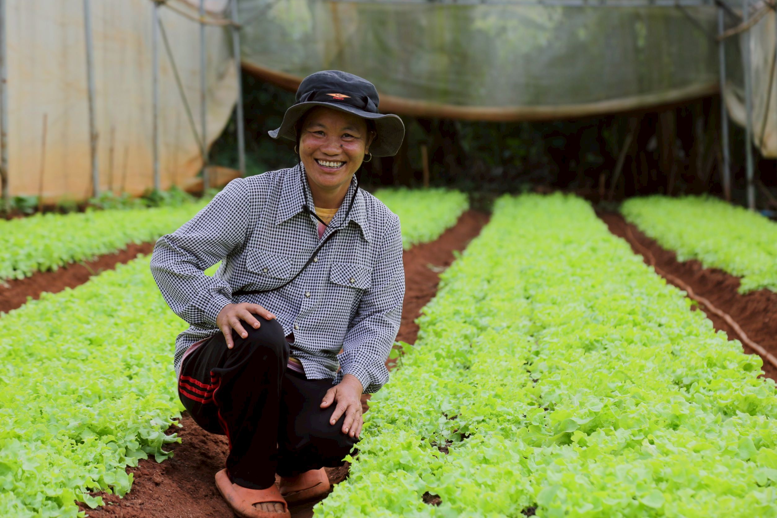 สถาบันวิจัยและพัฒนาพื้นที่สูง (องค์การมหาชน) ร่วมกับ สำนักงานพัฒนาการวิจัยการเกษตร (องค์การมหาชน) เดินหน้าพัฒนานวัตกรรมเกษตรลดปัญหา PM 2.5 5 ภาพสวพส4