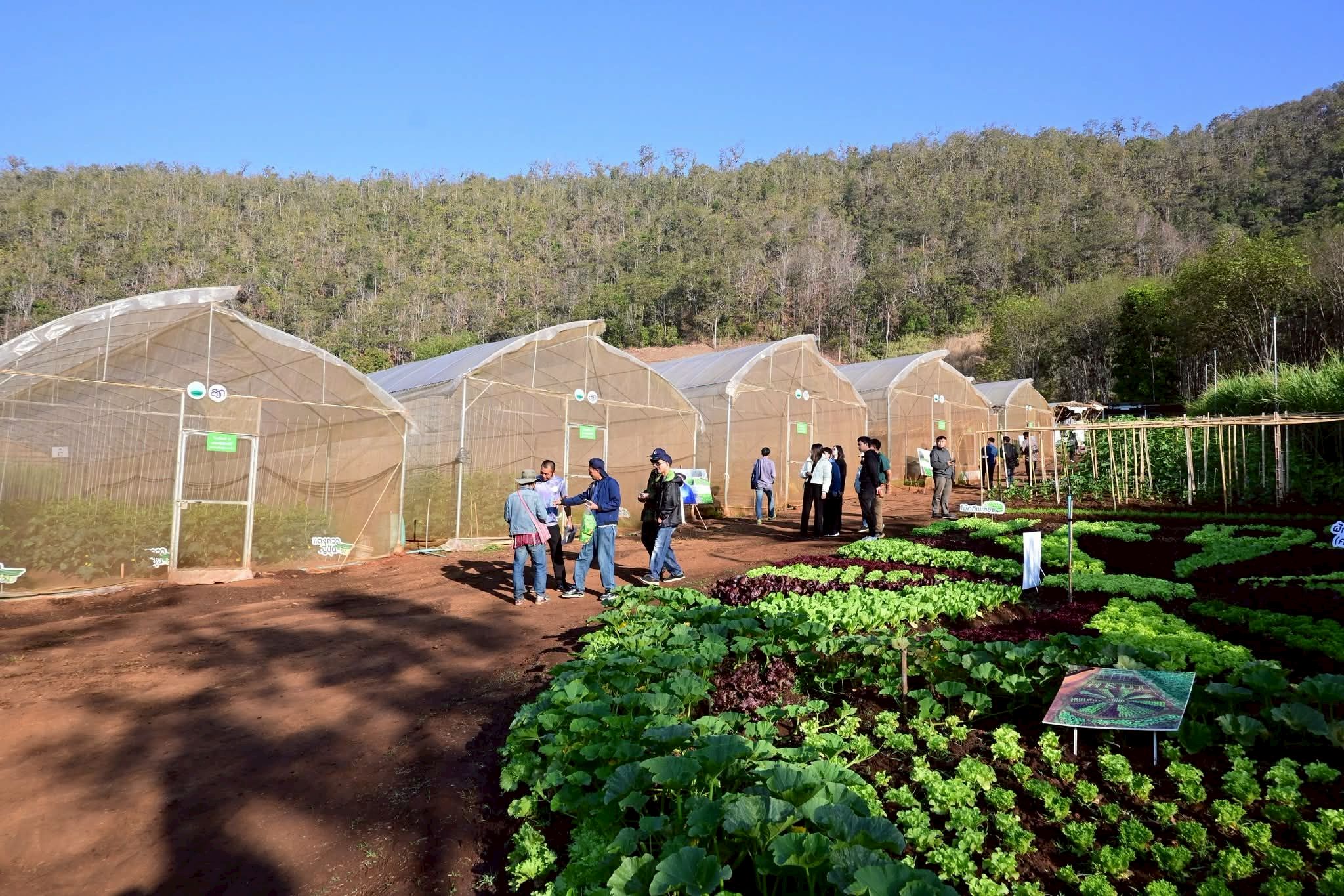 สถาบันวิจัยและพัฒนาพื้นที่สูง (องค์การมหาชน) ร่วมกับ สำนักงานพัฒนาการวิจัยการเกษตร (องค์การมหาชน) เดินหน้าพัฒนานวัตกรรมเกษตรลดปัญหา PM 2.5 7 ภาพสวพส7