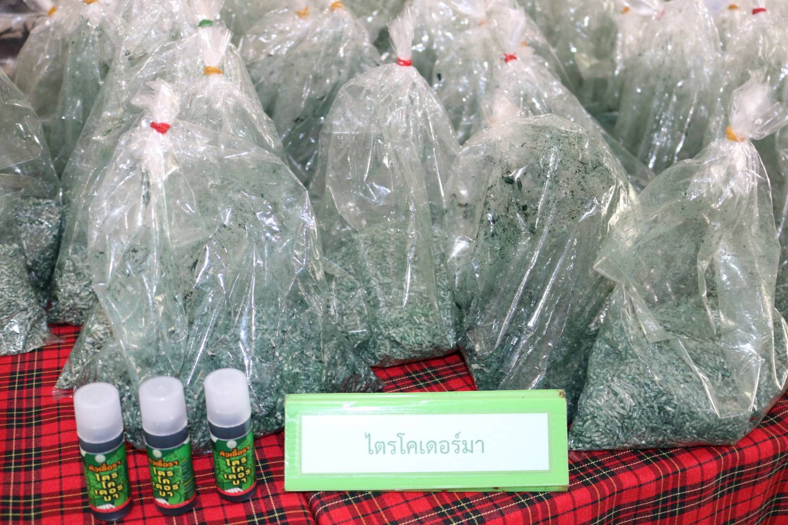 น้ำลดแล้ว…ฟื้นฟูนาข้าวอย่างไร 3 รณรงค์ 1