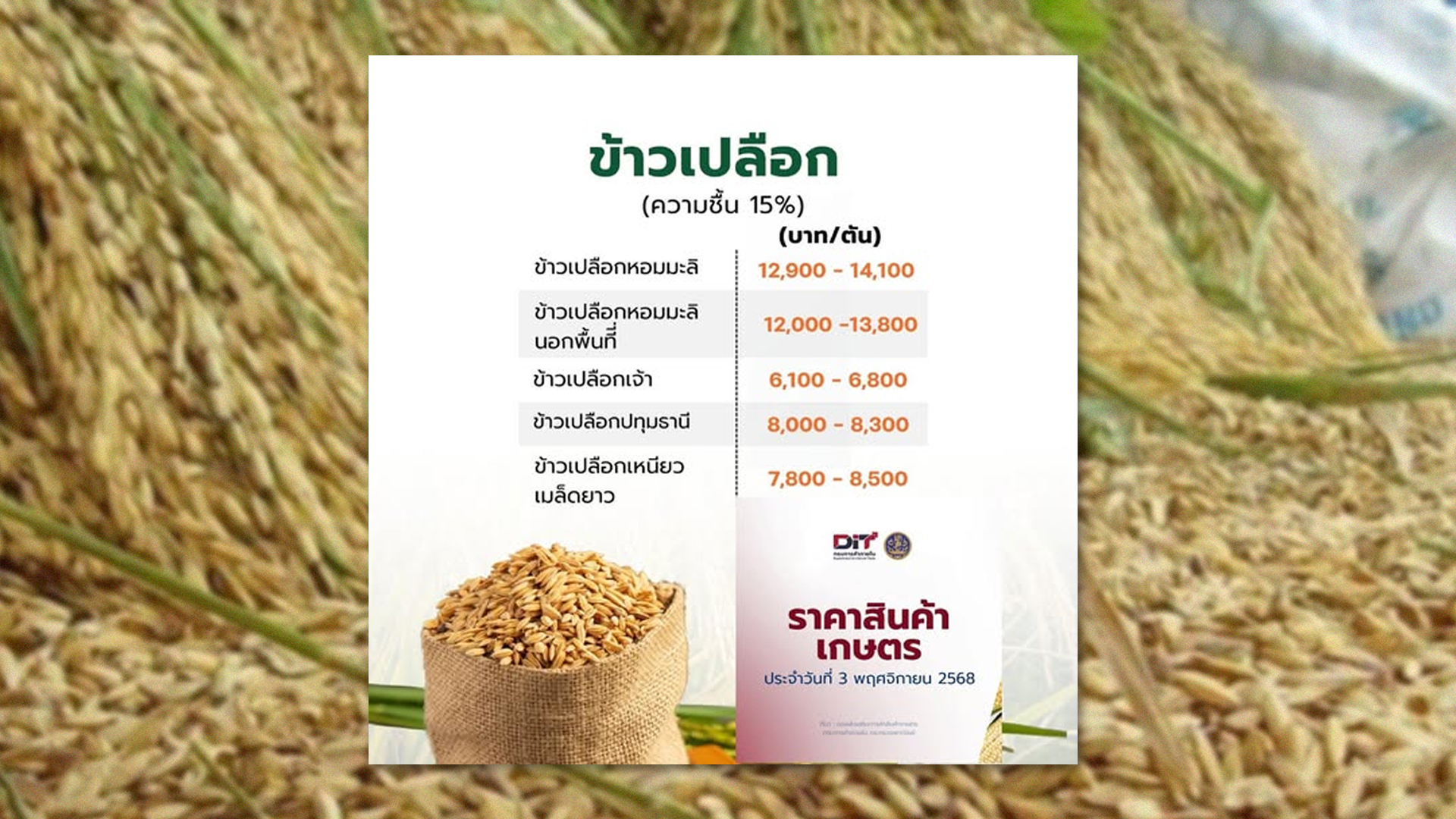 เช็ก ราคาข้าวเปลือก ความชื้น 15% (ข้อมูลจากกระทรวงพาณิชย์ ณ วันที่ 3 พฤศจิกายน 2568) 1 ราคาข้าวเปลือกความชื้น2