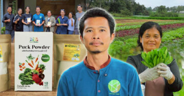 วิสาหกิจชุมชนผักอินทรีย์แปลงใหญ่2