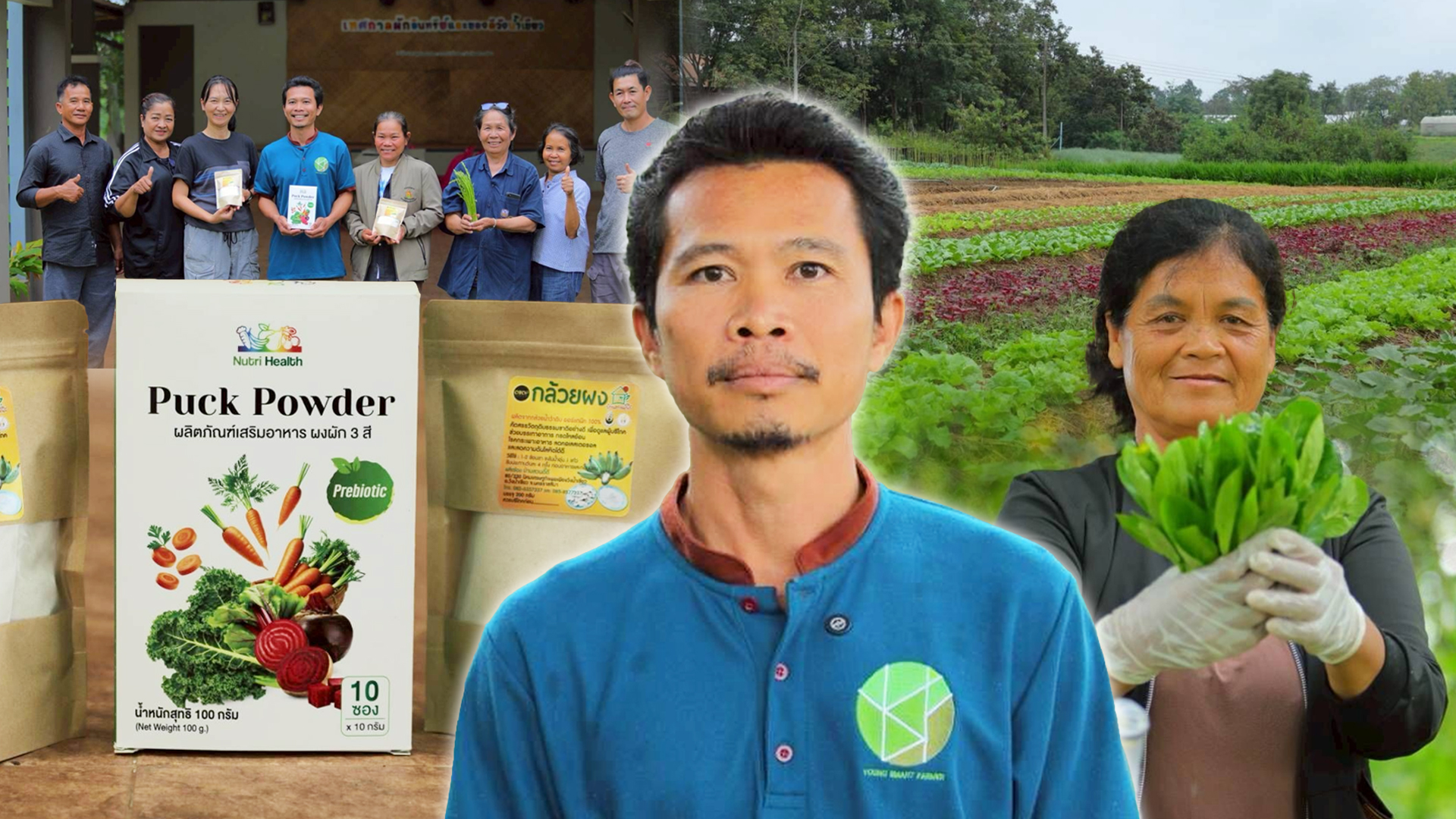 วิสาหกิจชุมชนผักอินทรีย์แปลงใหญ่ นิคมเศรษฐกิจพอเพียงวังน้ำเขียวต้นแบบเกษตรกรปราดเปรื่อง ในเขตปฏิรูปที่ดิน 1 วิสาหกิจชุมชนผักอินทรีย์แปลงใหญ่2