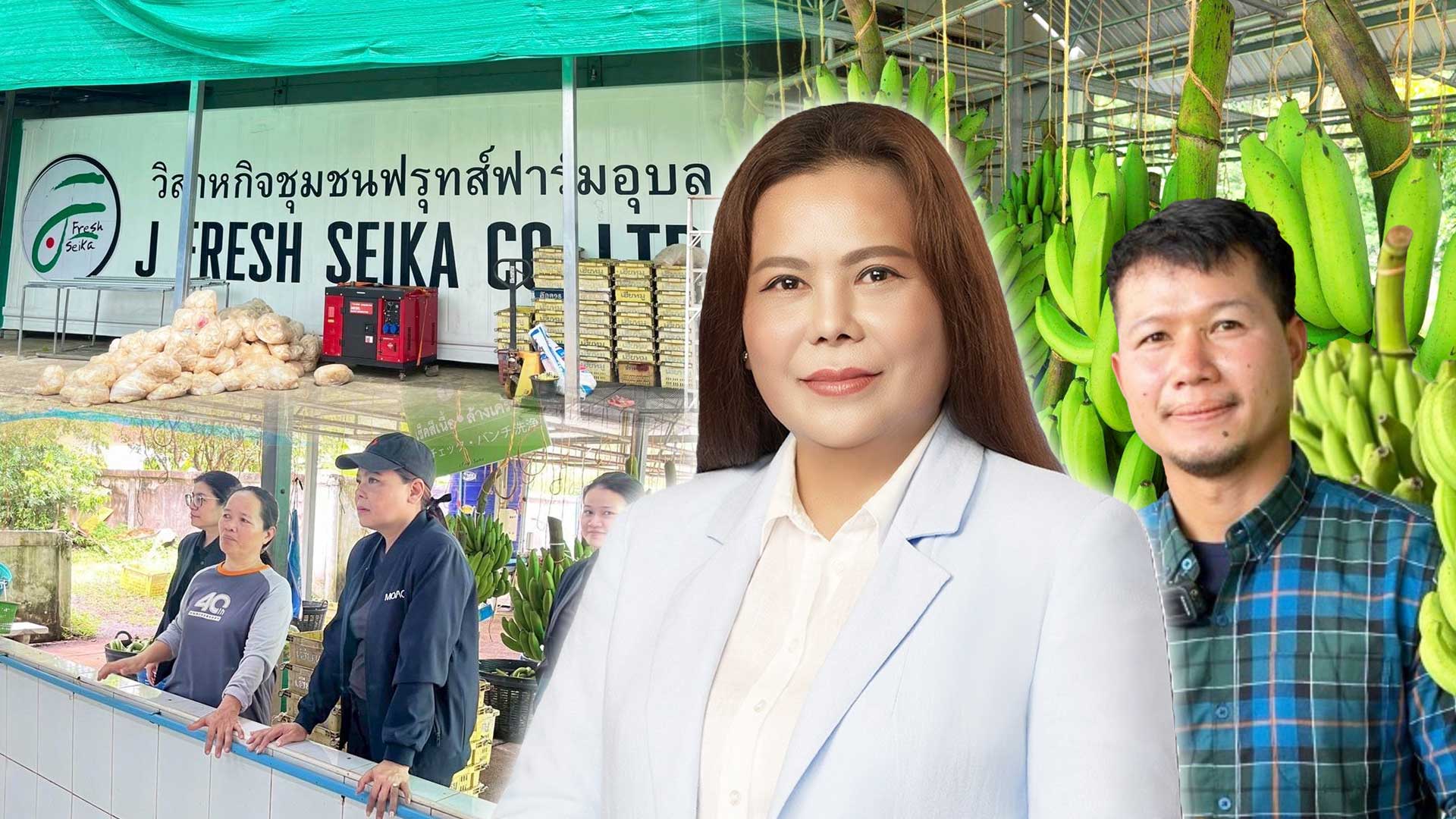 วิสาหกิจชุมชนฟรุทส์ฟาร์มอุบล2