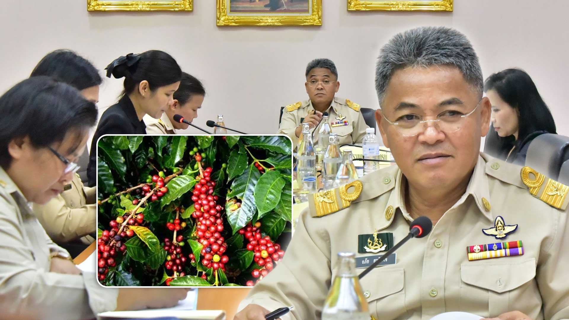 รองปลัดฯ อภัย เป็นประธานการประชุมคณะอนุกรรมการพืชสวน ครั้งที่ 5/2568 รับทราบสถานการณ์การผลิตกาแฟ ปี 2569 (ปีการผลิต 2568/2569) เนื้อที่ให้ผลรวมทั้งประเทศ 183,842 ไร่ กาแฟพันธุ์อะราบิกา 118,494 ไร่ เพิ่มขึ้นจากปีที่ผ่านมา ร้อยละ 1.57 กาแฟพันธุ์โรบัสตา 65,348 ไร่ ลดลงจากปีที่ผ่านมา ร้อยละ 6.92 1 สถานการณ์การผลิตกาแฟ3