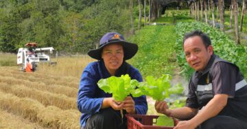 สปกนครพนม3