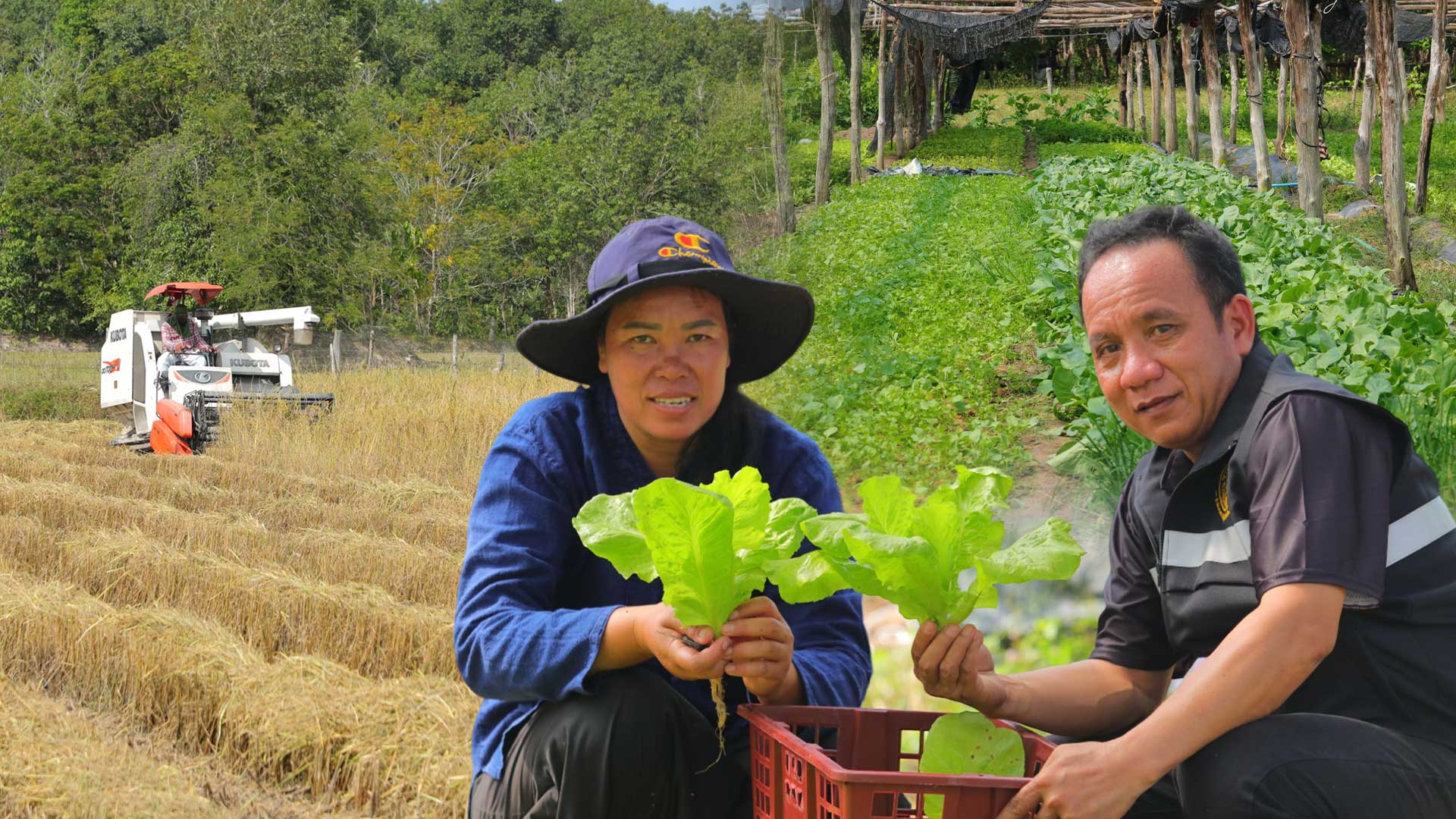 ส.ป.ก.นครพนม มุ่งเน้นการ สปกนครพนม3