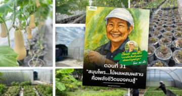 สมุนไพร2