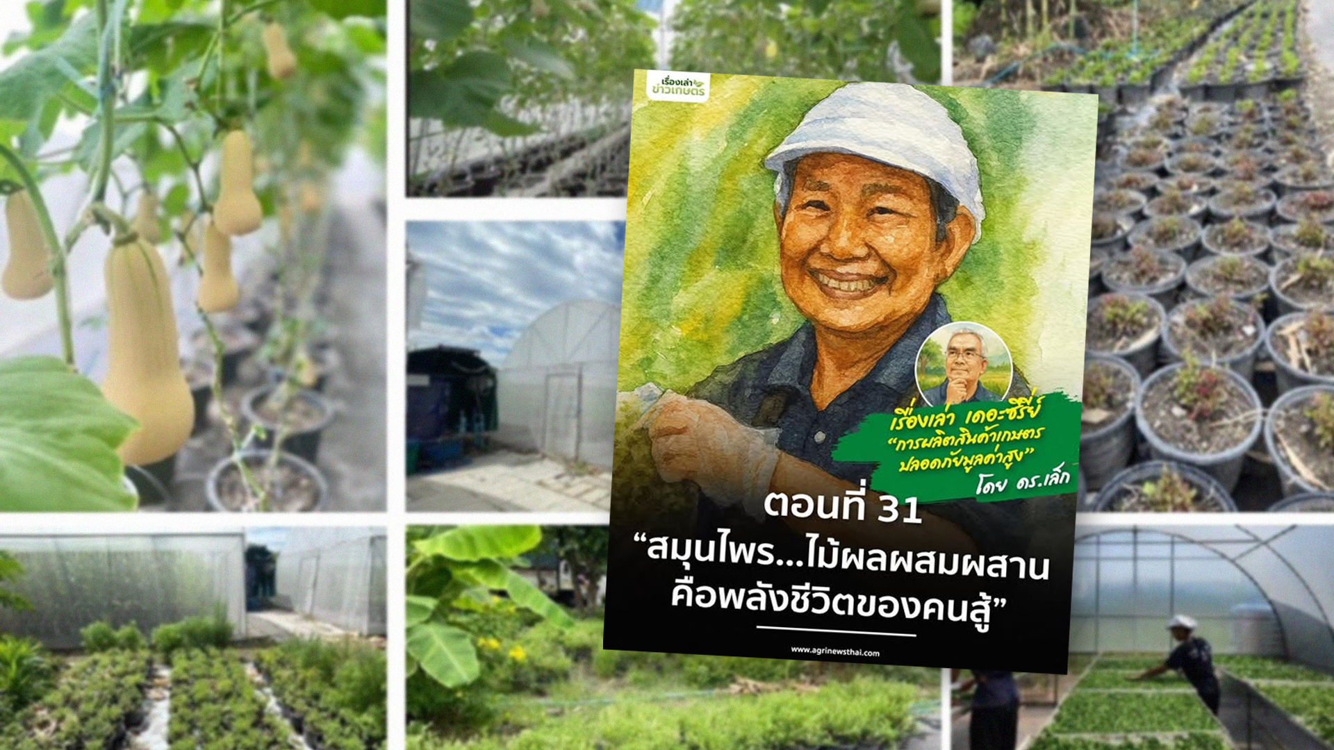 สมุนไพร2