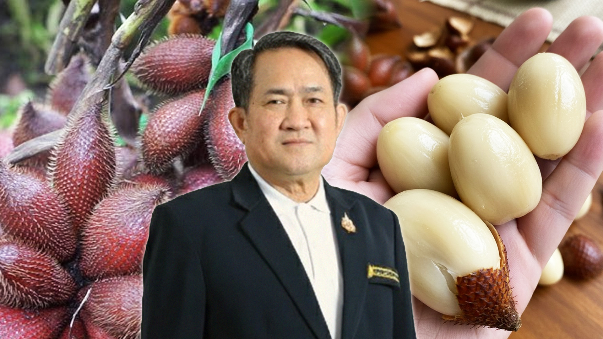 จ.พัทลุง หนุน ‘สละพันธุ์สุมาลี’ พืชเศรษฐกิจสำคัญ ปี 68 สร้างมูลค่ากว่า 203.52 ล้านบาท 1 สละพันธุ์สุมาลี2