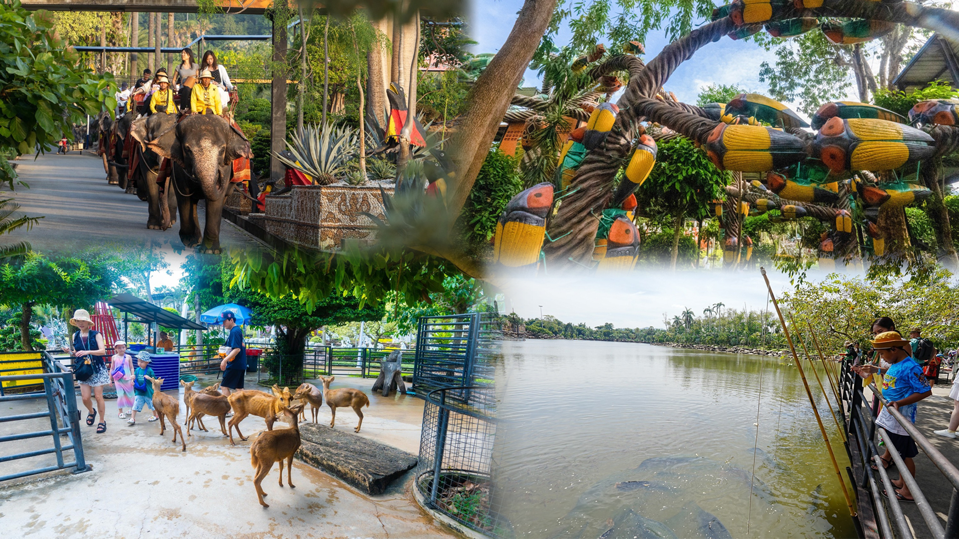 สวนนงนุชพัทยา2