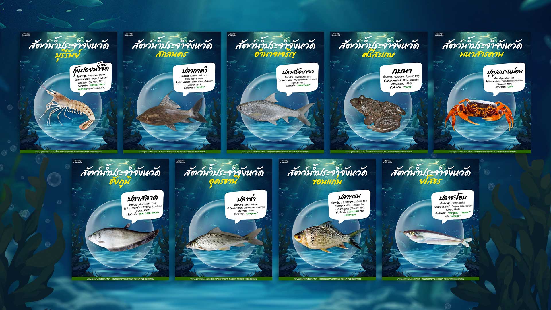 สัตว์น้ำประจำจังหวัดภาคอีสาน3