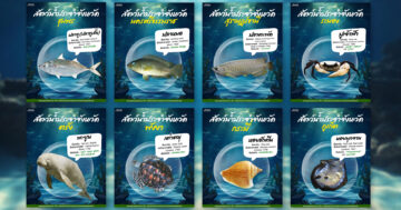 สัตว์น้ำประจำจังหวัดภาคใต้2