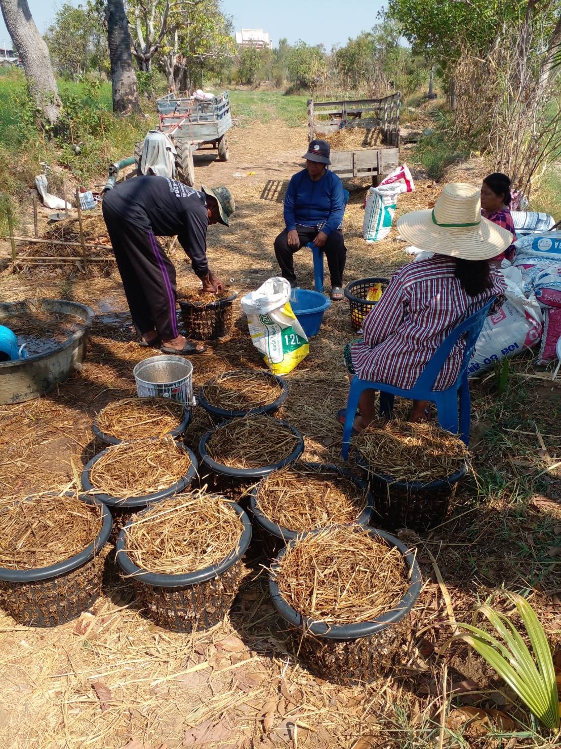 กรมส่งเสริมการเกษตร เดินหน้าสร้างเกษตรปลอดเผายั่งยืน สู้ PM2.5 6 สาธิตการเพาะเห็ดในตะกร้า 251117 1 นายณัฐพงษ์ ศ