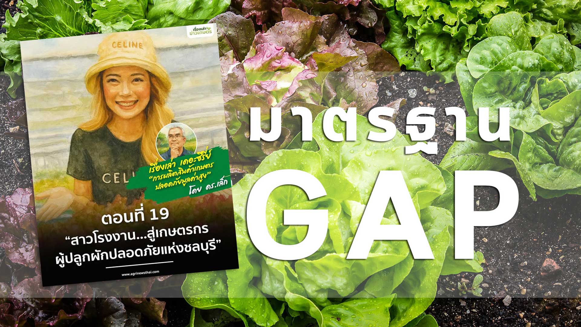 เรื่องเล่า…เดอะซีรีส์ “การผลิตสินค้าเกษตรปลอดภัยมูลค่าสูง” ตอนที่ 19 : “สาวโรงงาน…สู่เกษตรกรผู้ปลูกผักปลอดภัยแห่งชลบุรี” 1 สาวโรงงาน3