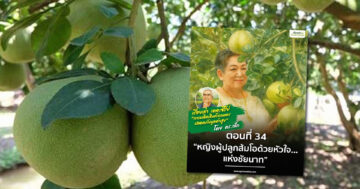 หญิงผู้ปลูกส้มโอด้วยหัวใจ2