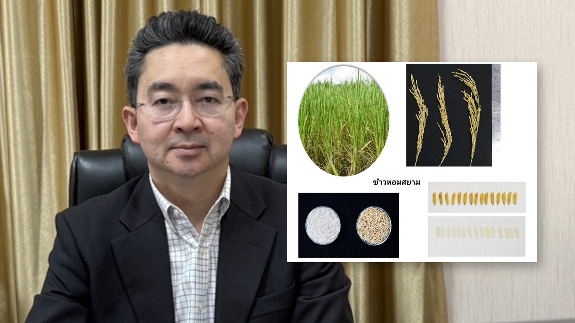 อธิบดีกรมการข้าว ระบุ ข้าวหอมสยาม ไม่ใช่ ข้าวหอมมะลิ ขอสื่อมวลชนสร้างความเข้าใจและป้องกันความสับสนด้านราคารับซื้อของเกษตรกร ลดผลกระทบด้านรายได้ของเกษตรกร 1 อธิบดีกรมการข้าว2