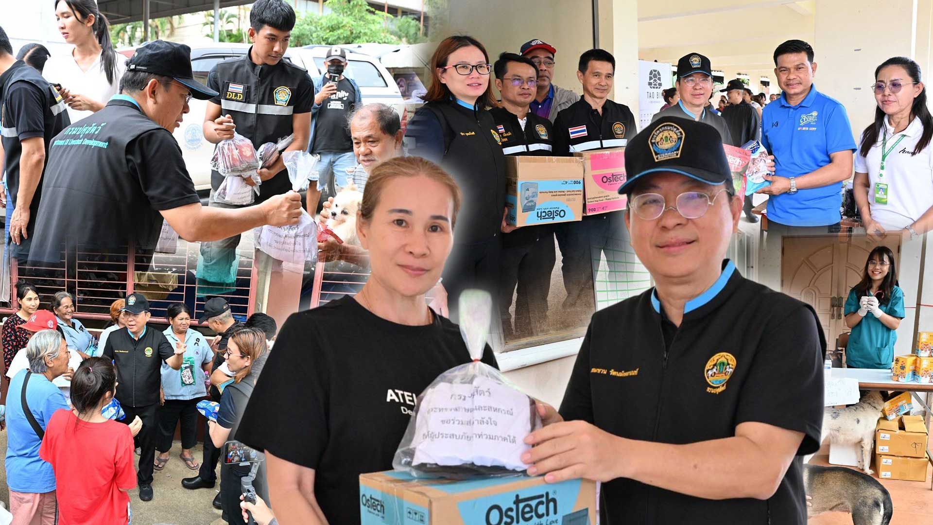อธิบดีกรมปศุสัตว์ ตรวจเยี่ยมหน่วยสัตวแพทย์เคลื่อนที่ให้บริการตรวจรักษาสัตว์เลี้ยงและแจกอาหารสุนัขและแมวในพื้นที่ประสบอุทกภัยหาดใหญ่ 1 อธิบดีกรมปศุสัตว์3