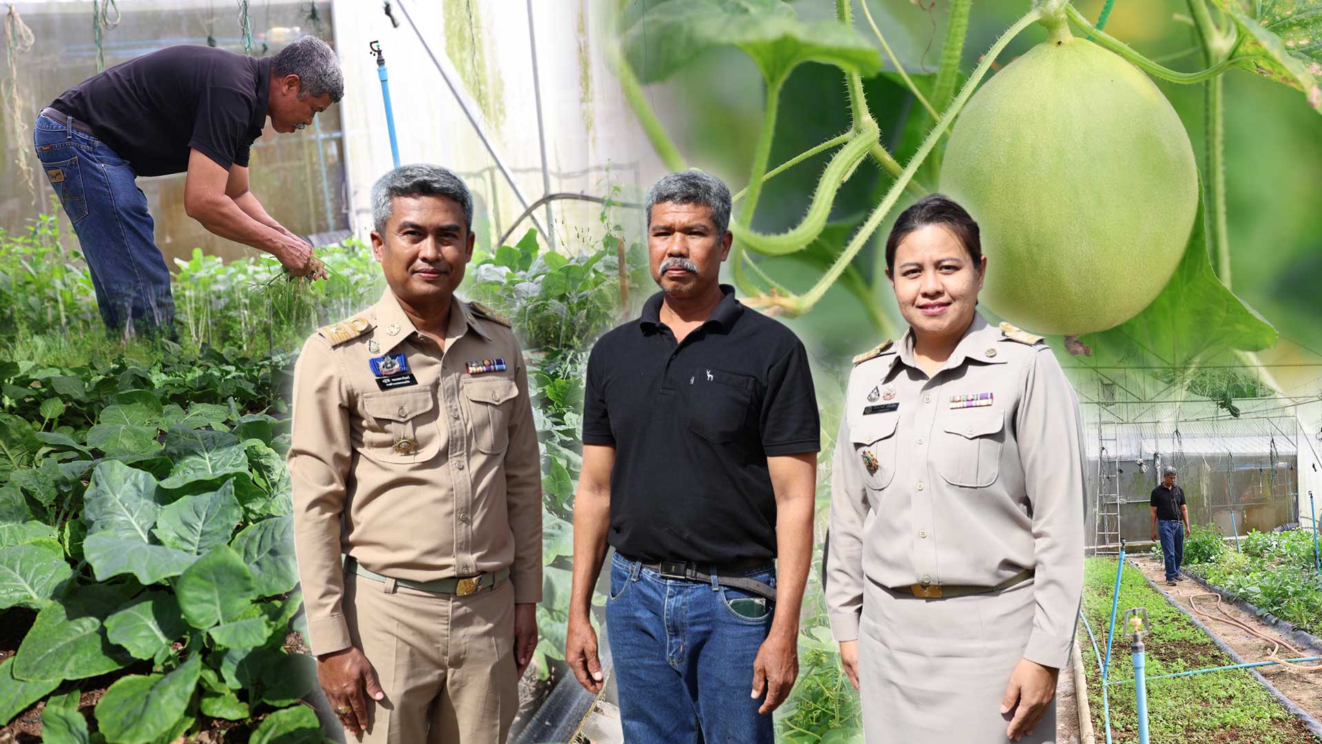 เกษตรกรชาวอำเภอคลองหอยโข่ง ปลูกผักยกแคร่ปลอดสารพิษ เรียนรู้จาก “ฟาร์มของแม่” ขยายผลสู่ธุรกิจครอบครัว สร้างรายได้งาม 1 เกษตรกรชาวอำเภอคลองหอยโข่ง3