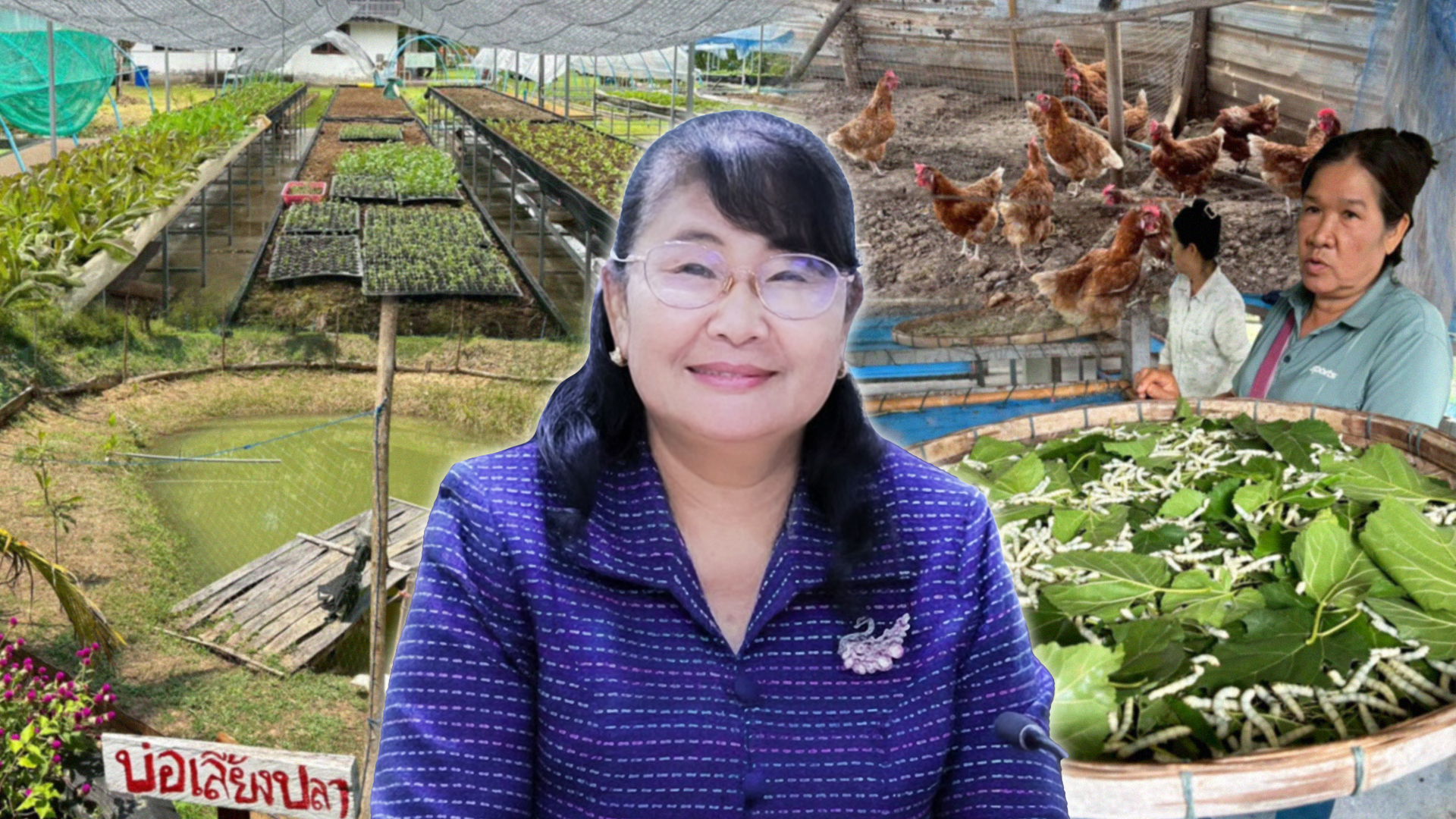 สศก. ชูผลประเมิน เกษตรทฤษฎีใหม่2