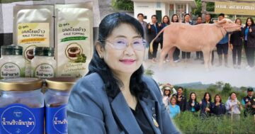 เกษตรเดินหน้า3