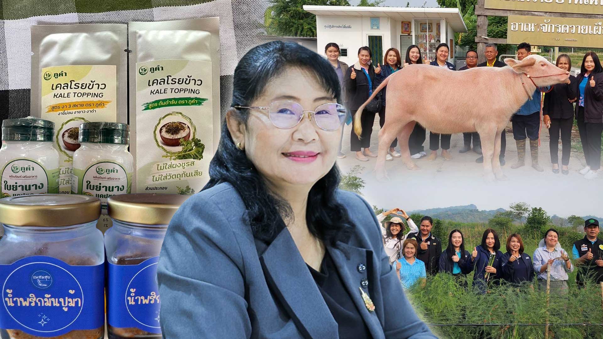 เกษตรเดินหน้า3