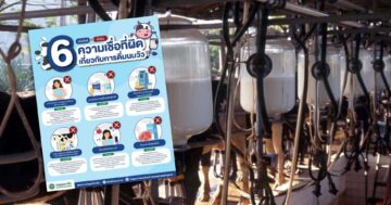 เกี่ยวกับการดื่มนมวัว3