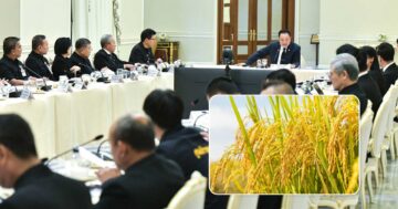 เช็กมติ3