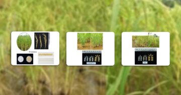 แจ้งเตือนชาวนา3